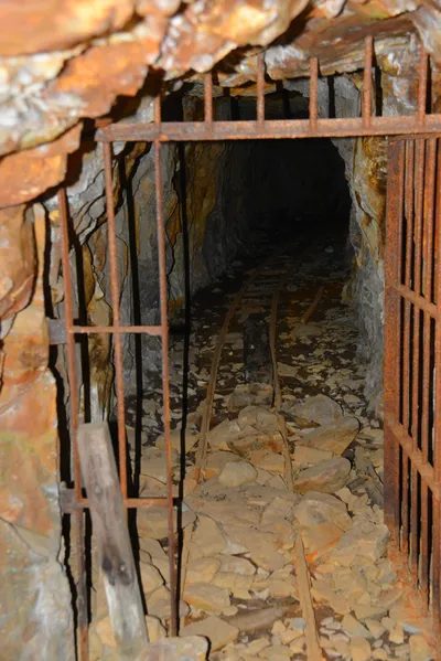 DSC_7842 (Large).JPG